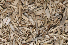 biomass boilers Aberlemno